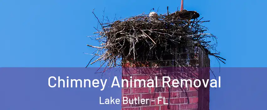  Chimney Animal Removal Lake Butler - FL