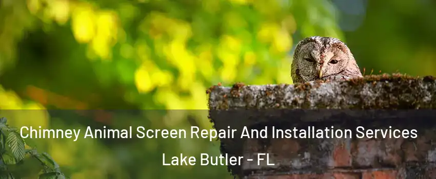  Chimney Animal Screen Repair And Installation Services Lake Butler - FL