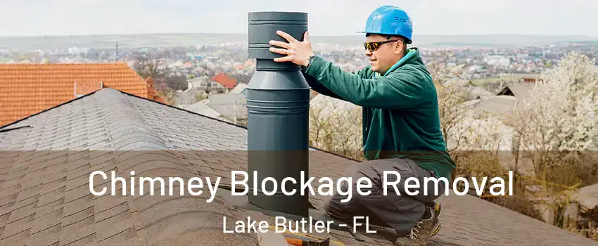  Chimney Blockage Removal Lake Butler - FL