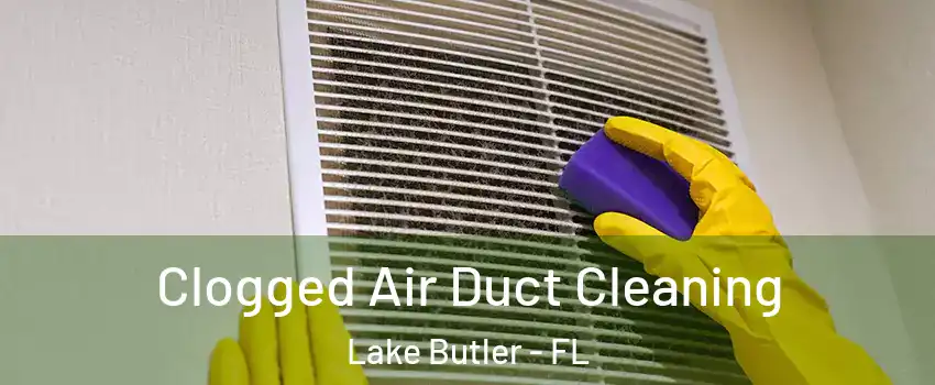  Clogged Air Duct Cleaning Lake Butler - FL