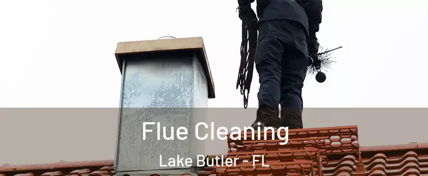  Flue Cleaning Lake Butler - FL