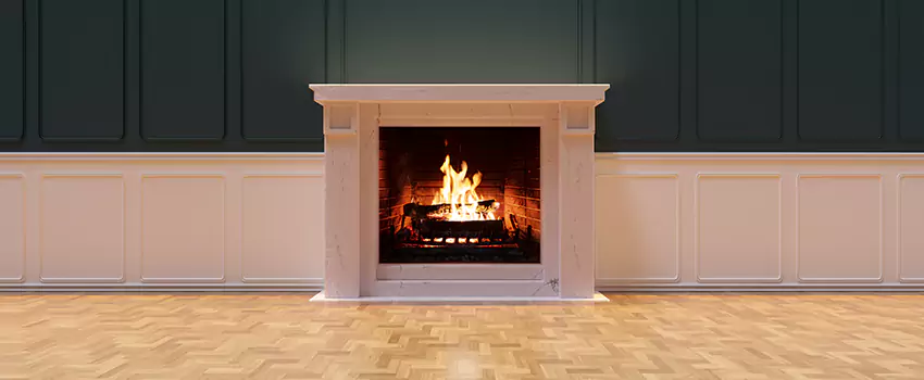 Napoleon Electric Fireplaces Inspection Service in Lake Butler, Florida
