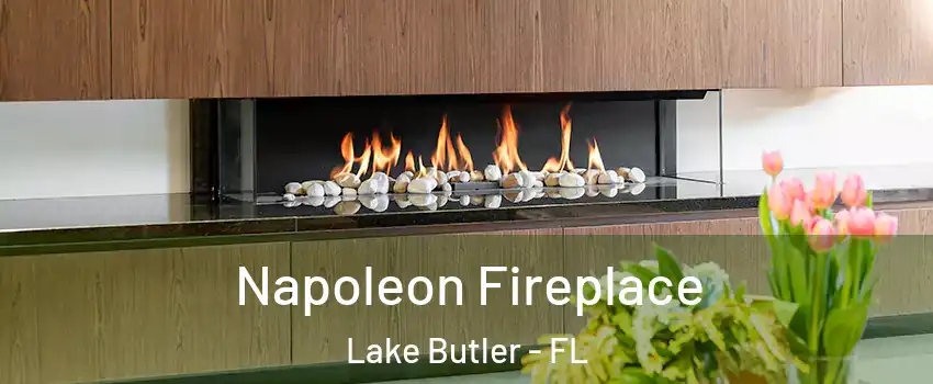  Napoleon Fireplace Lake Butler - FL